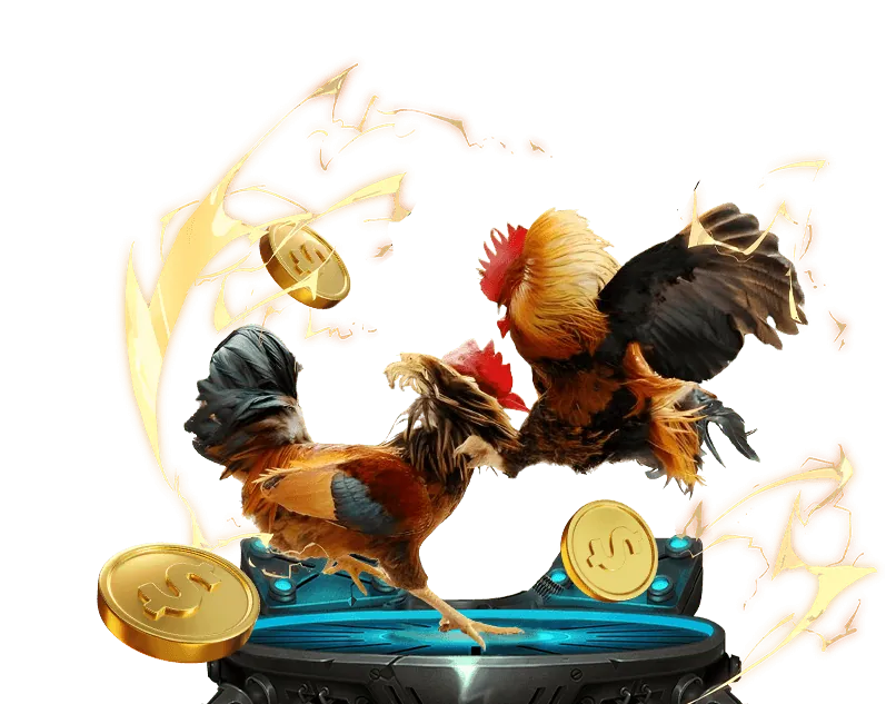 Đá gà trực tuyến mv66 app